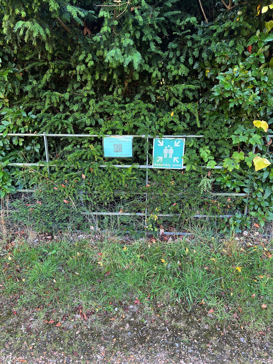 Stacks Image 182